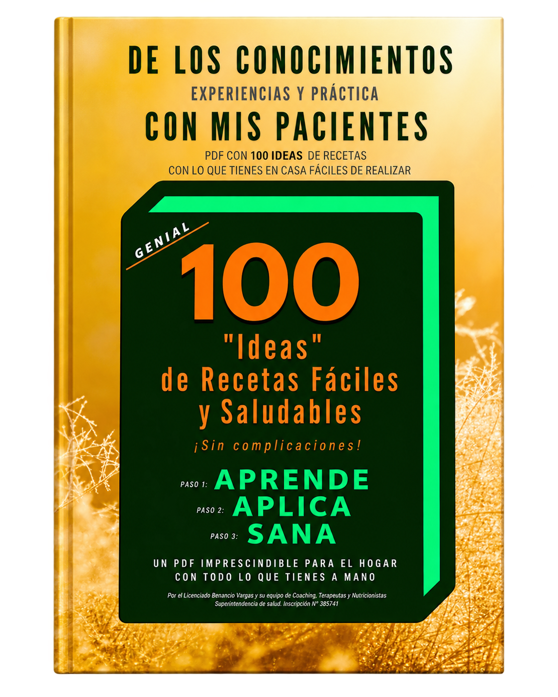 Ebook 100 Ideas de Recetas Fáciles y Saludables - Benancio Vargas